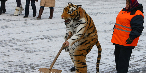 img-news